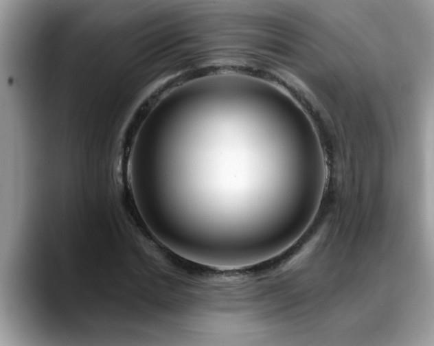 X0000088750830200706071718