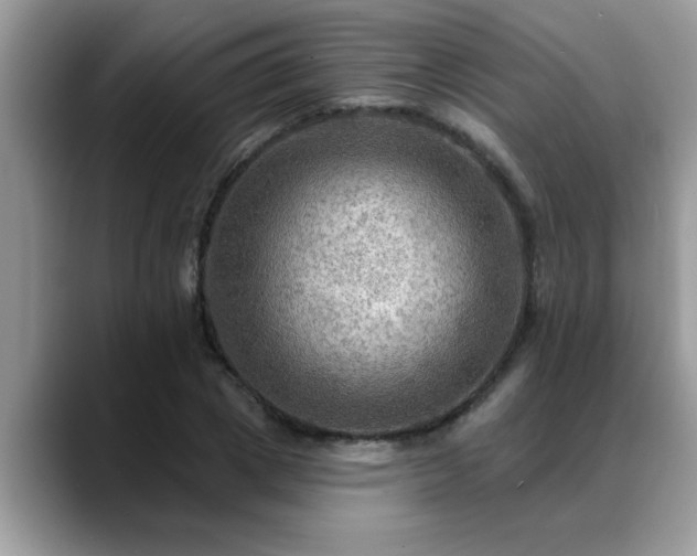 X0000088750833200706071718
