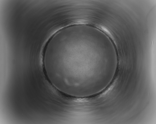 X0000088750835200706071718