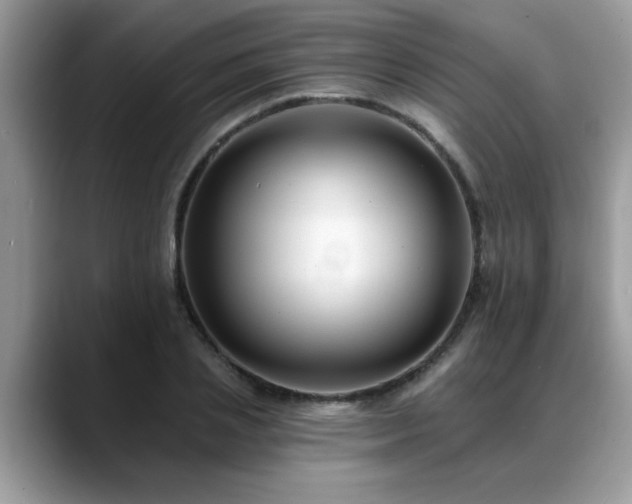 X0000088750837200706071718