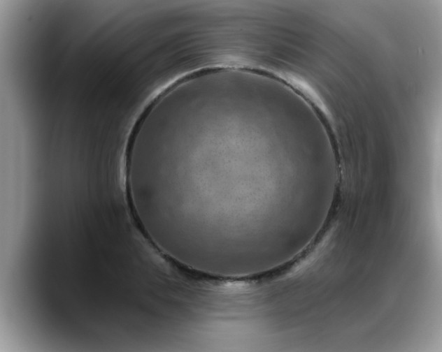 X0000088750839200706071719