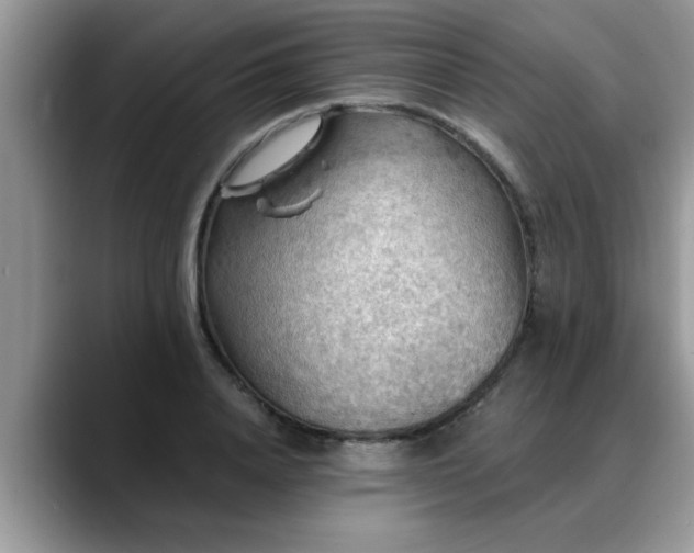 X0000088750840200706071719