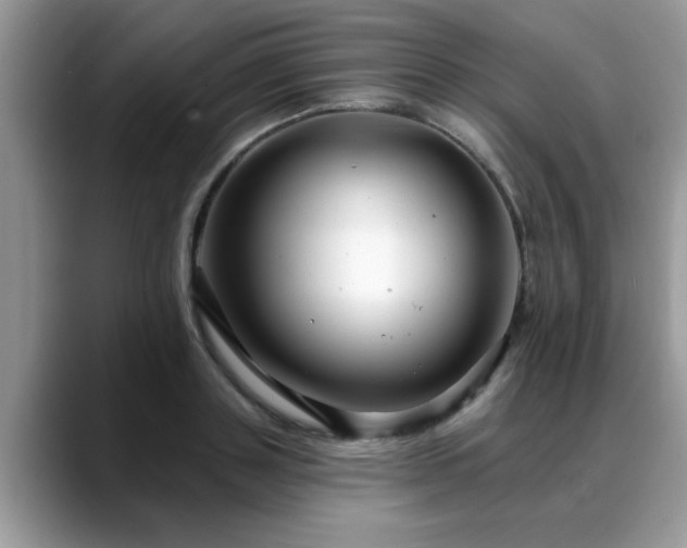 X0000088750843200706071719