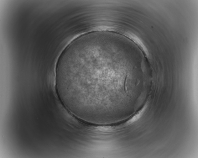 X0000088750844200706071719