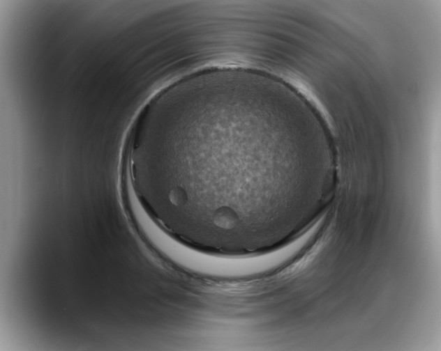 X0000088750845200706071719
