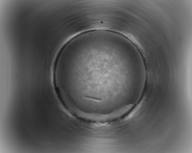 X0000088750846200706071719