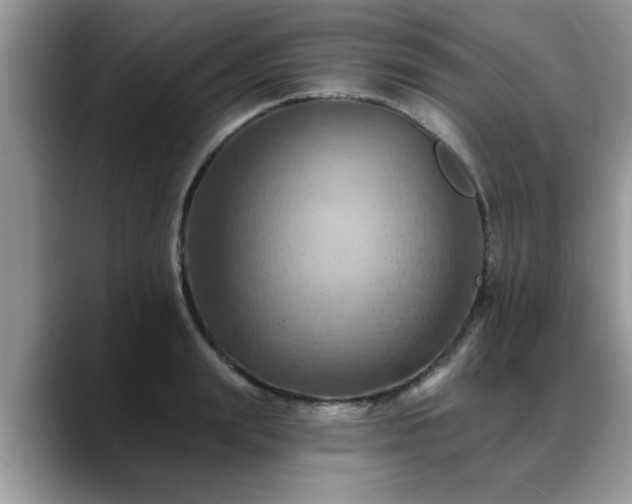 X0000088750847200706071719