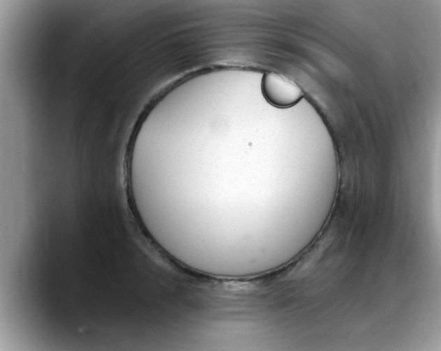 X0000088750848200706071719