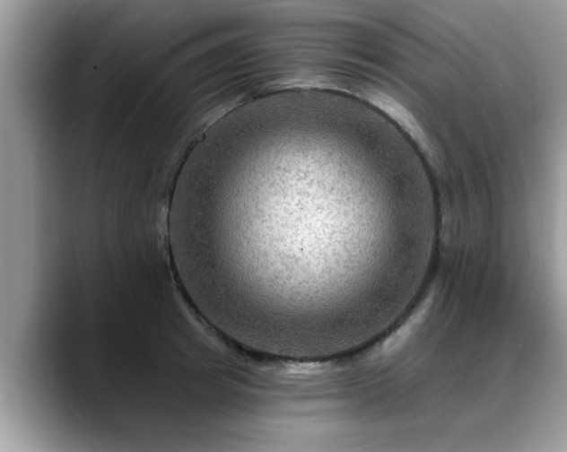 X0000088750849200706071719