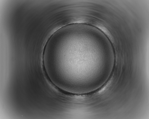 X0000088750850200706071719