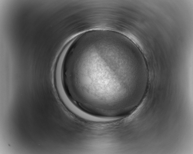 X0000088750854200706071719
