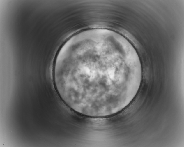 X0000088750856200706071719