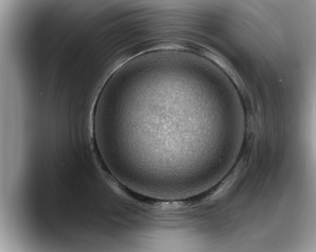 X0000088750858200706071719