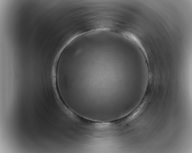X0000088750859200706071719