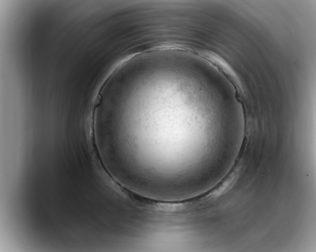 X0000088750860200706071719