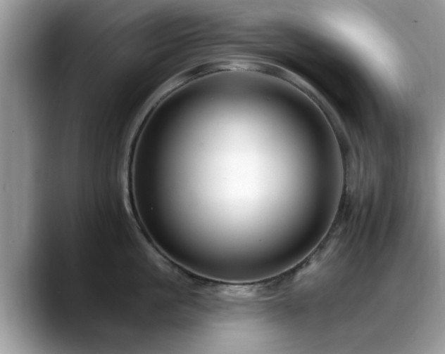 X0000088750861200706071719