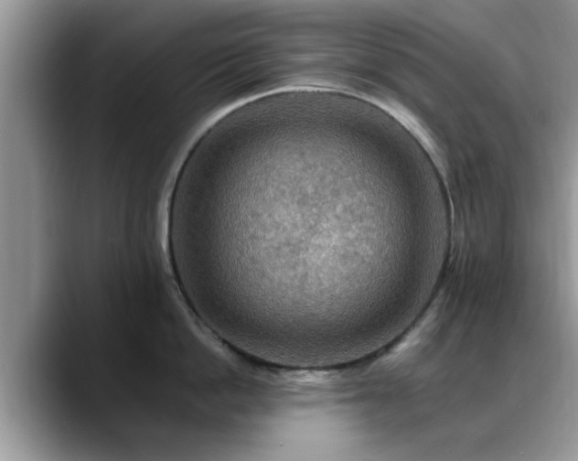 X0000088750862200706071719