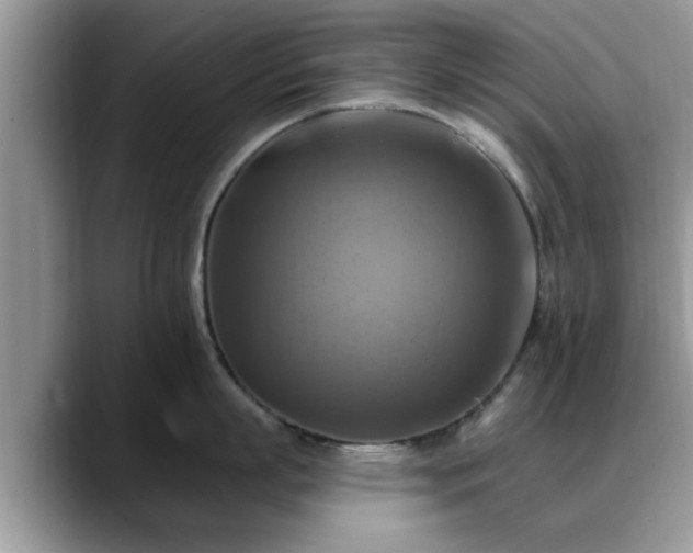 X0000088750863200706071719