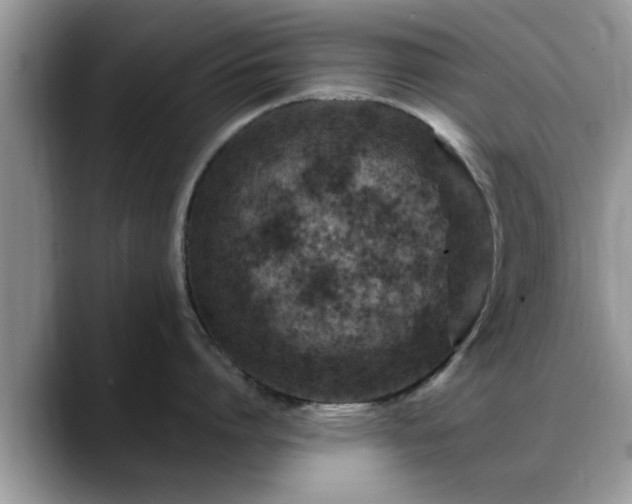 X0000088750864200706071719