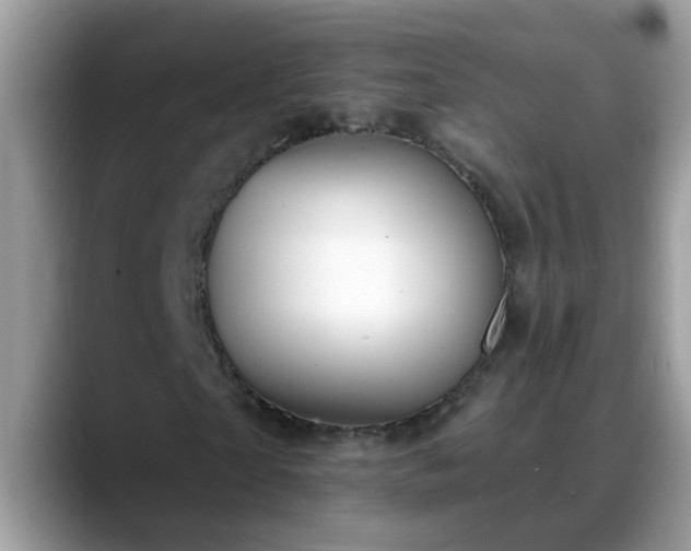 X0000088750865200706071718