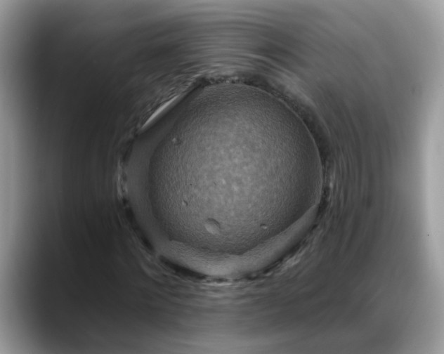 X0000088750868200706071718
