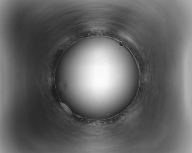 X0000088750869200706071718