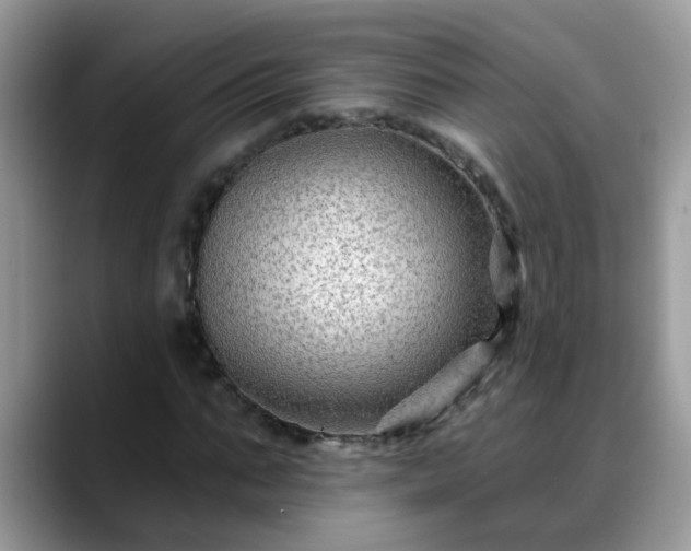X0000088750871200706071718