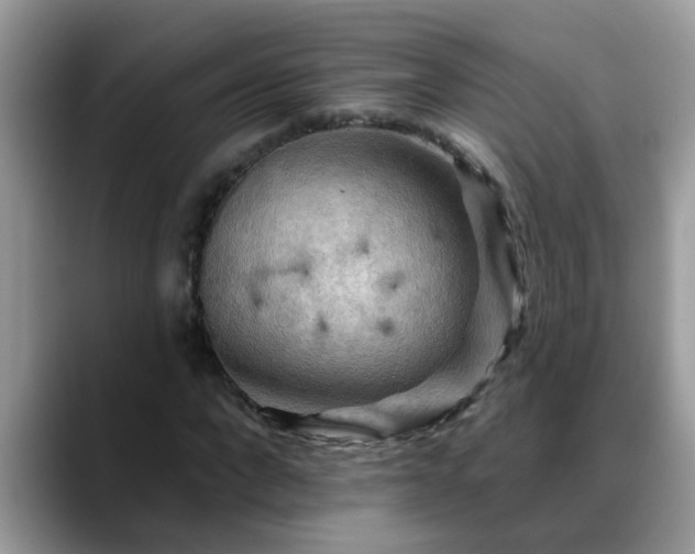 X0000088750872200706071718