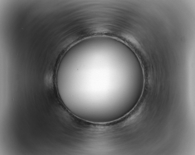 X0000088750873200706071718