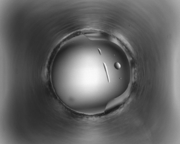 X0000088750876200706071718