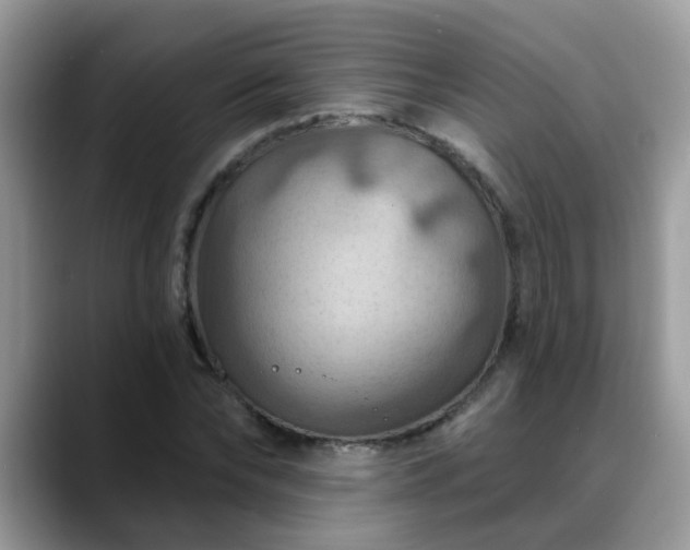 X0000088750878200706071718