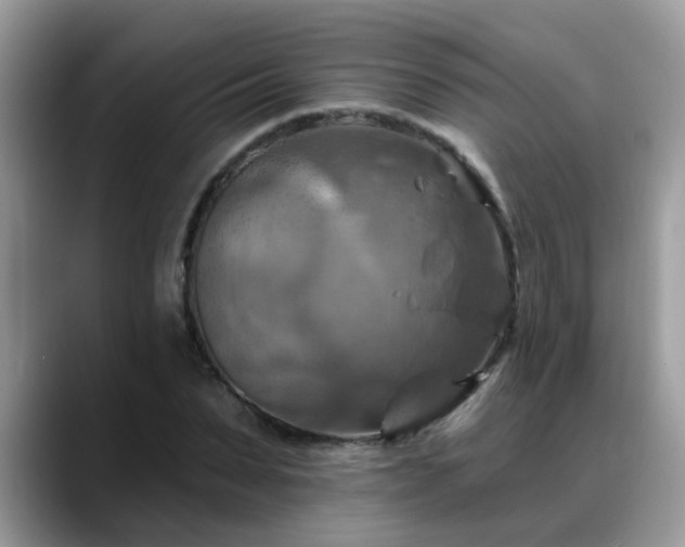 X0000088750879200706071718