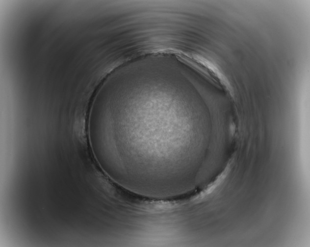 X0000088750881200706071718