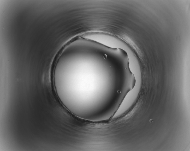 X0000088750884200706071718