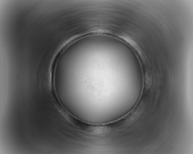 X0000088750886200706071718