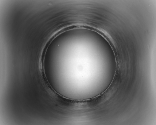 X0000088750887200706071718