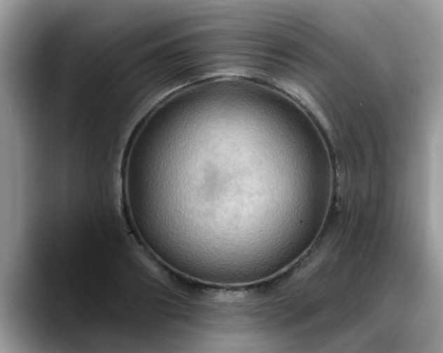 X0000088750890200706071718