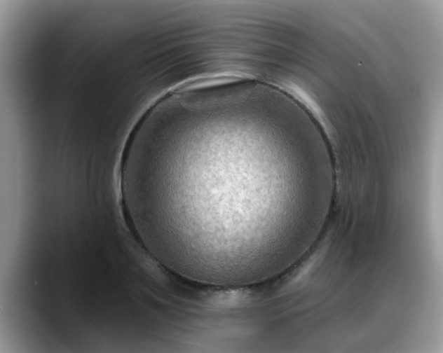 X0000088750891200706071718