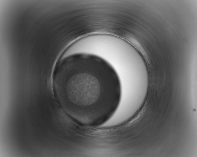 X0000088750892200706071718