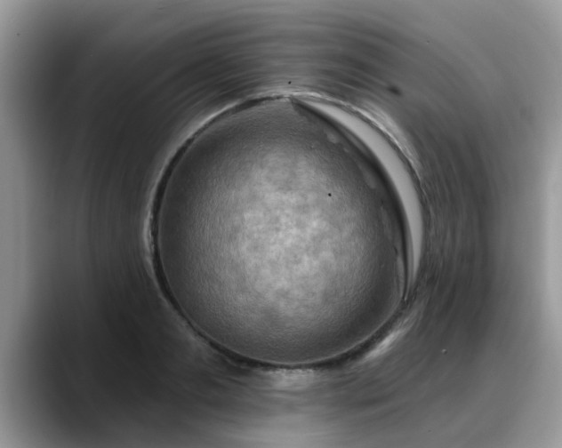 X0000088750893200706071718