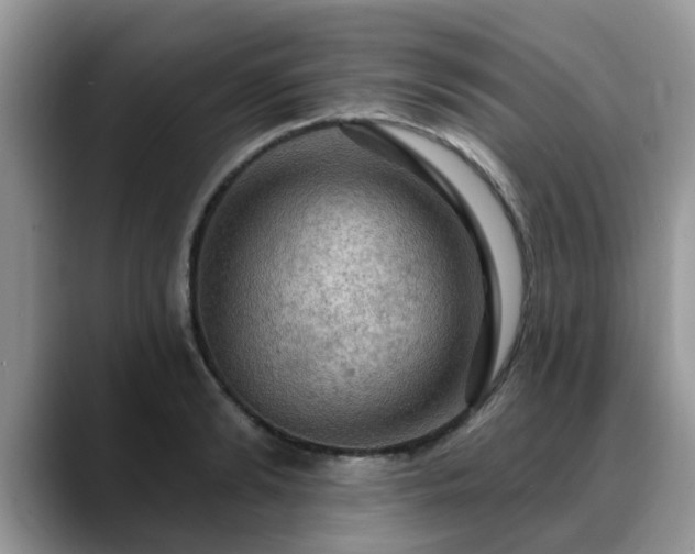 X0000088750894200706071718