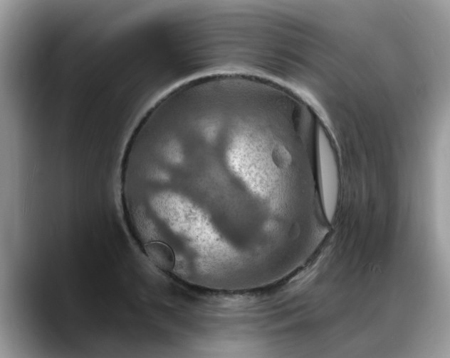 X0000088750895200706071718