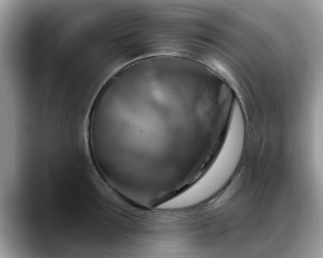 X0000088750899200706071718