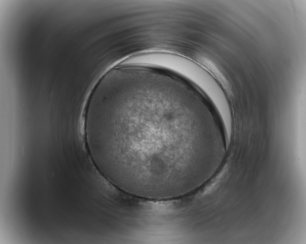 X0000088750900200706071718