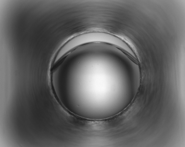 X0000088750902200706071718