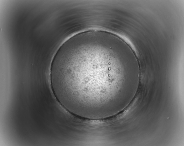 X0000088750903200706071718