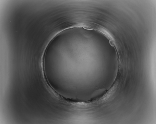 X0000088750907200706071718