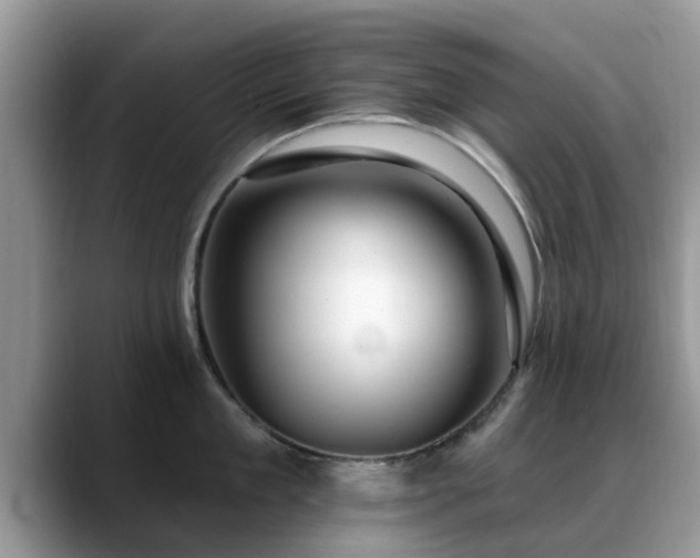 X0000088750909200706071718