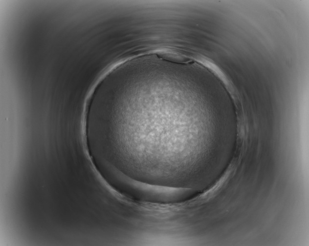 X0000088750910200706071718