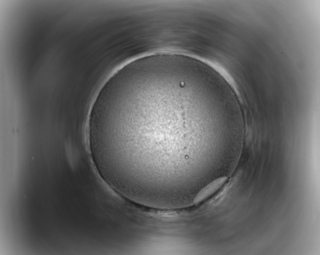 X0000088750911200706071718